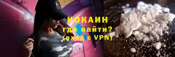 прущие грибы Абаза