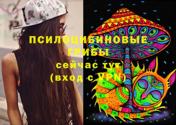 крисы Алексеевка