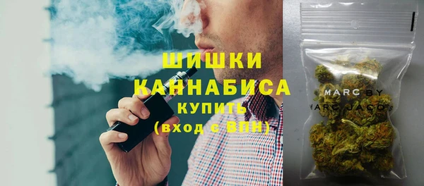 прущие грибы Абаза