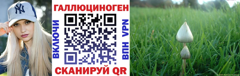 Псилоцибиновые грибы Psilocybine cubensis  где можно купить   Собинка 